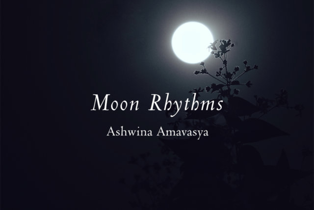 Moon Rhythms